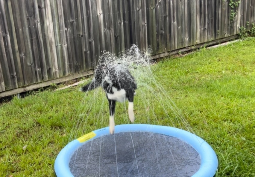 WATER PLAY 2